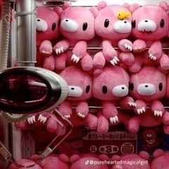 グルーミー、汎用うさぎ探してます❣️