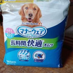 大型犬用オムツ（未使用）の画像