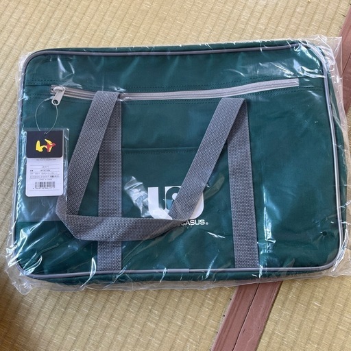 マルミ運動具店 WORLD PEGASUS スクバ 緑 グリーン