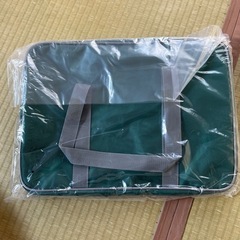 ワッペ　ワールドペガサス　スクールバック　旧　緑の画像