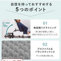 アイリスオーヤマ介護用電動リクライニングベットOTBSS-BDHの画像