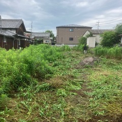 造園業補助、焼き芋販売、さつまいも畑の手伝いの画像
