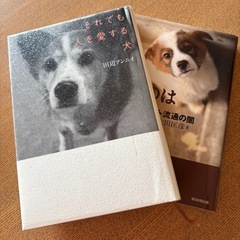 保護犬に興味ある方にお譲りします。　それでも人を愛する犬他1冊