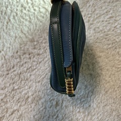 ロエベバックの画像