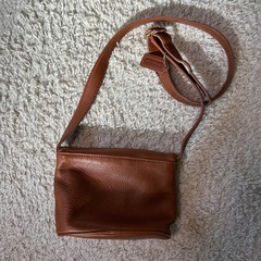 coachバックの画像