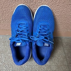 NIKE 24.5の画像