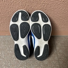 NIKE 24.5の画像