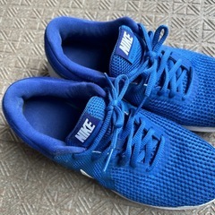 NIKE 24.5の画像