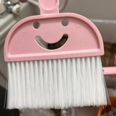 閲覧注意！爬虫類　餌ゴキブリ　デュビア