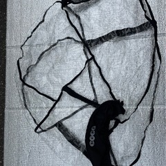 ベビーカー　エアバギーcoco 2way board付の画像