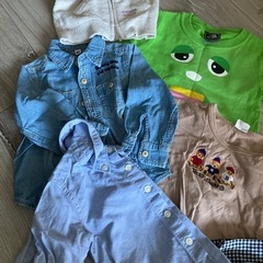 80-90センチの画像