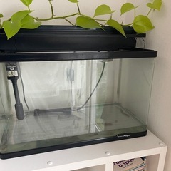 水槽セット