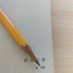 『羅生門・鼻』芥川龍之介　新潮文庫の画像