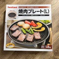 IWATANI焼肉セットの画像