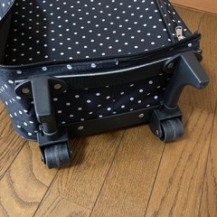 ソフトキャリーケースの画像