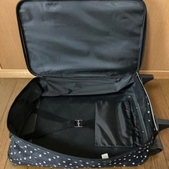 ソフトキャリーケースの画像