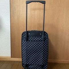 ソフトキャリーケースの画像