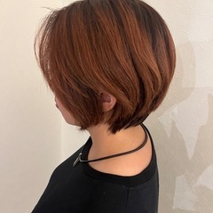 6月26日限定カットモデルの画像