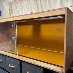 DIY 爬虫類ゲージ1200×500×500
の画像