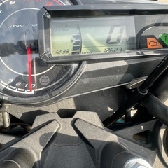 z125pro の画像