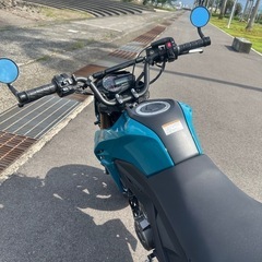 z125pro の画像