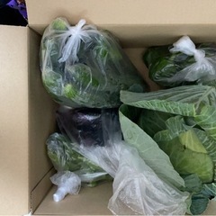 6/22のみ採れたて野菜、ニンニクお譲りします。 