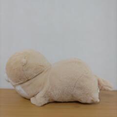 カワウソの画像