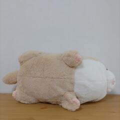 カワウソの画像