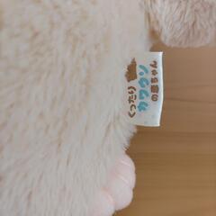 カワウソの画像