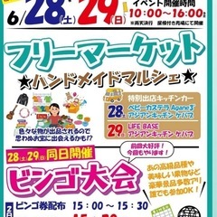 メダカ販売、メダカ掬い　あかぎ園芸フリマ