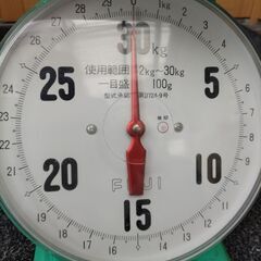 上皿はかりの画像