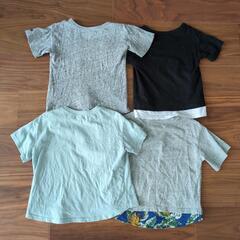 半袖Tシャツ100ｾﾝﾁの画像