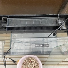 🐟６０cm規格水槽🐟の画像