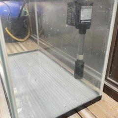 🐟６０cm規格水槽🐟の画像