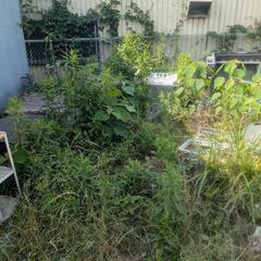 ☆草刈りと片付け作業☆