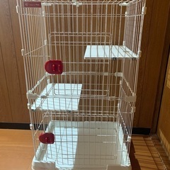キャットタワー　アイリスオーヤマ　