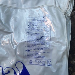 ビニールベッドの画像