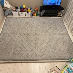 ニトリ　接触冷感ラグマット
