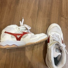 ミズノ　バレーボールシューズ　24.5cmの画像