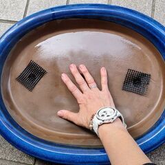 珍しい平型・植木鉢