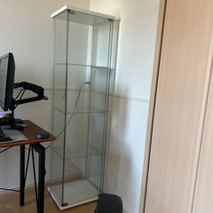 IKEA DETOLF/イケア デトルフ ガラス扉キャビネット
