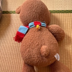 スージーズーの画像