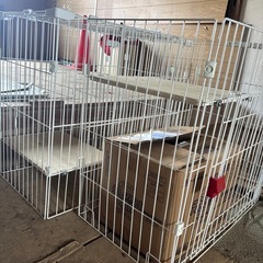 猫ゲージ
