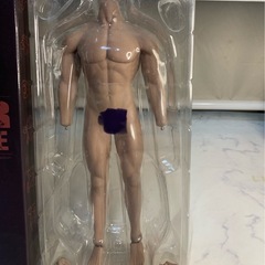 ファイセン　シームレスドール　男性　ちょい訳あり　ヘッド追加　の画像