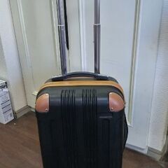 キャリーバッグ S サイズ
