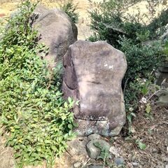 庭石　10個の画像