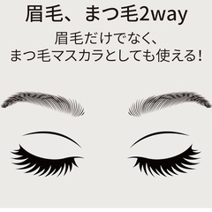 定価1320円　アイブロウ&マスカラ　グレーブラウンの画像