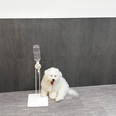 神戸カラオケグループ メンバー募集中💫