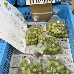 オーガニック南高梅1㎏400円
