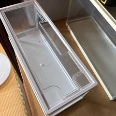 テトラ水槽